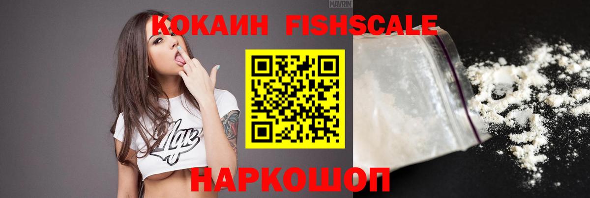 Гай  Cocaine Fish Scale  Cocaine  Вход с VPN 