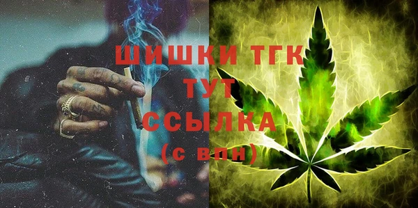 твердый Инсар