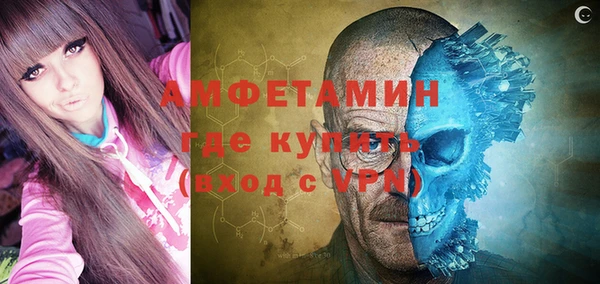 твердый Инсар
