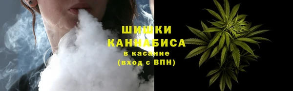 прущая мука Инта
