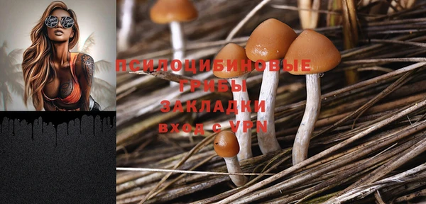 твердый Инсар
