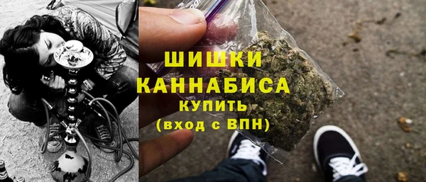 твердый Инсар