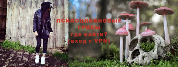 прущая мука Инта