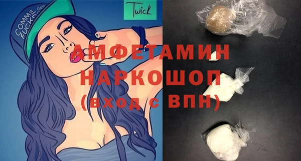 твердый Инсар