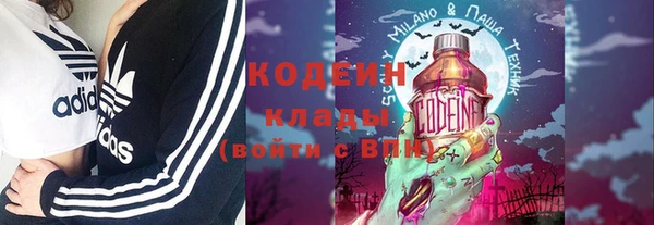твердый Инсар