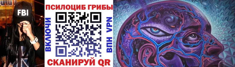 купить наркотик  Гай  Галлюциногенные грибы Psilocybine cubensis 