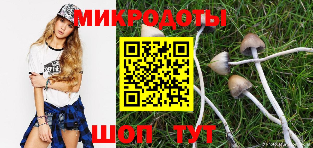Гай  Галлюциногенные грибы MAGIC MUSHROOMS  Вход с VPN 