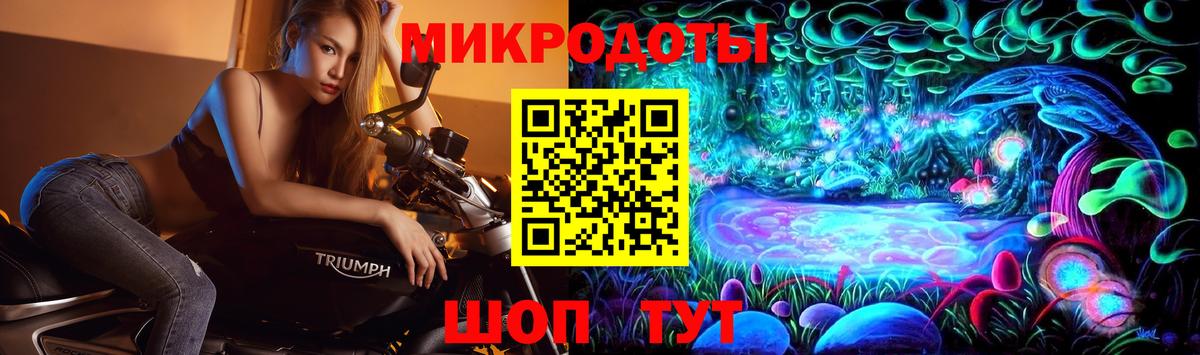 Галлюциногенные грибы Magic Shrooms  Гай  Галлюциногенные грибы ЛСД 